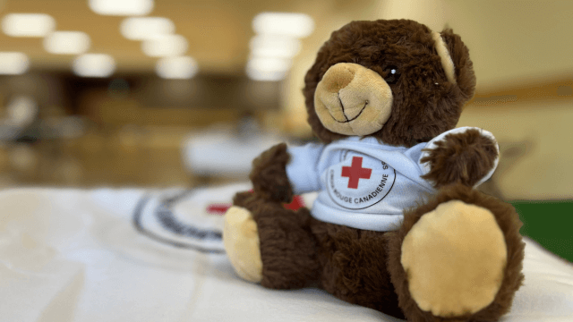 Un ourson en peluche de la Croix-Rouge posé sur un lit pliant dans un centre d’hébergement 