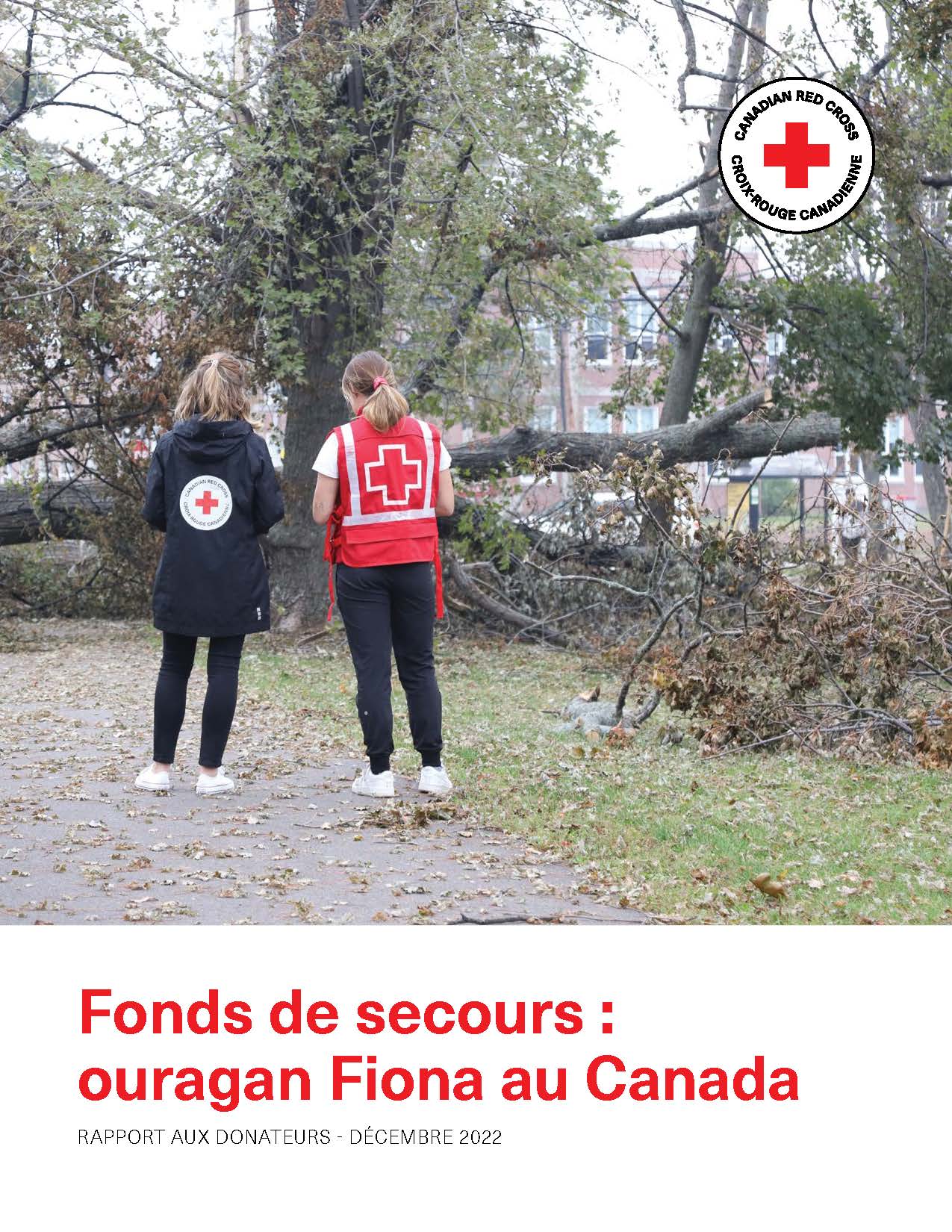 Deux membres du personnel de la Croix-Rouge se tiennent devant un arbre tombé.